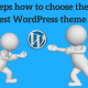 Steps how to choose the Best WordPress theme