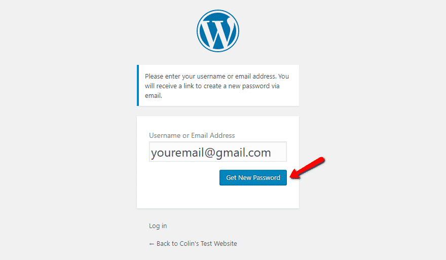 WordPress admin password