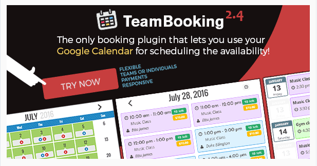 Appointment booking plugins
