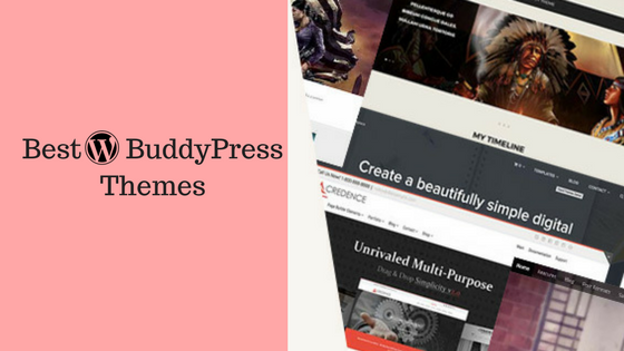Best BuddyPress Hosting 2