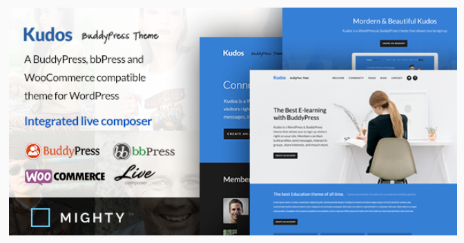 BuddyPress WordPress Themes