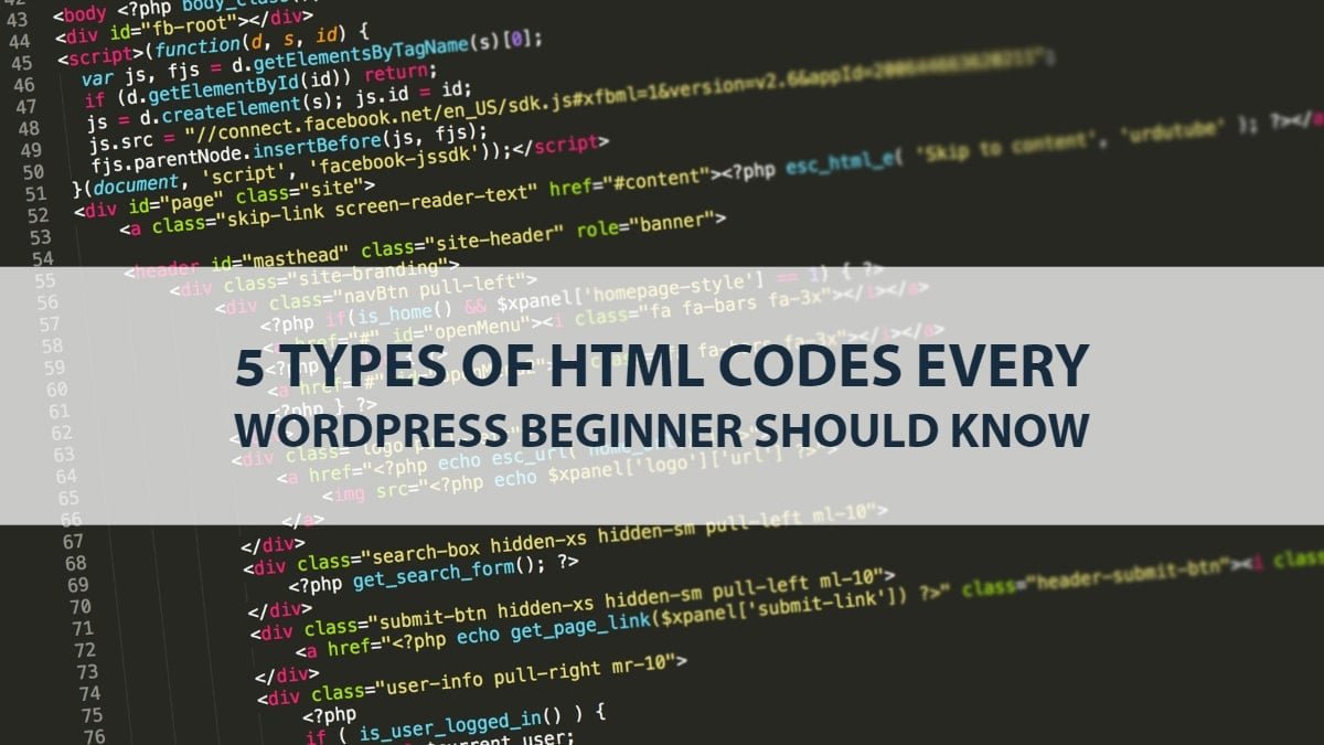 HTML codes every WordPress beginner should know 1