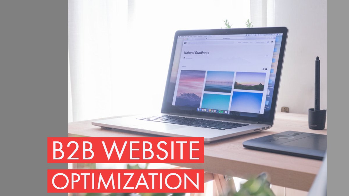 B2B Website Optimization