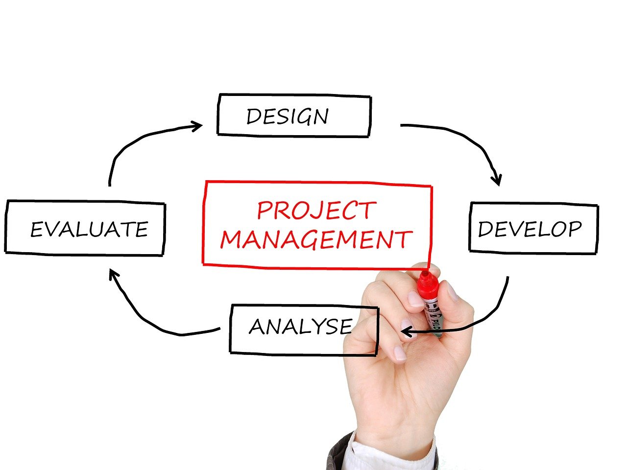 Web Development Project Manager