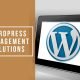 WordPress Management Solutions