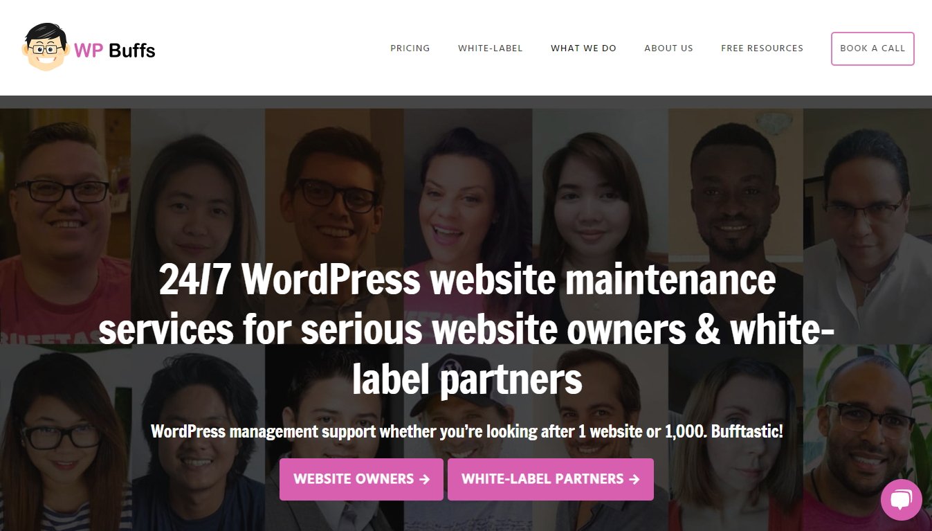 WP Buffs- WordPress Website Maintenance Service