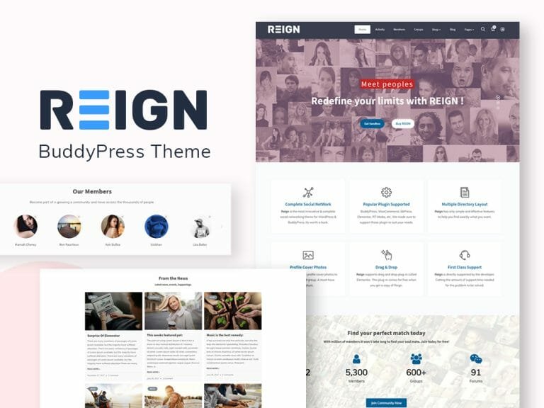 Reign Theme: Multipurpose WordPress Theme