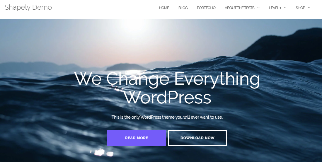 Shapely- Gutenberg Ready WordPress Blog Theme