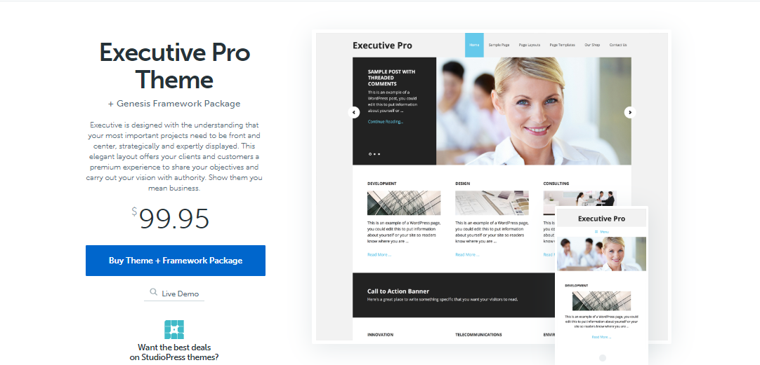 executive pro Insurance WordPress Themes