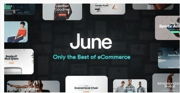 June Best WordPress Multisite Themes