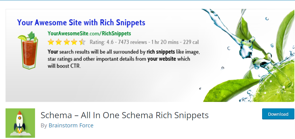 Schema - Google Review Plugins